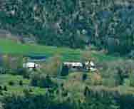 Le Forest